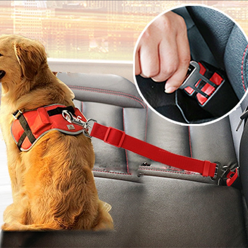 Adjustable Car Seat Leash